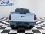 2024 F-150 Thumbnail 4