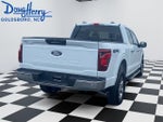 2024 F-150 Thumbnail 5