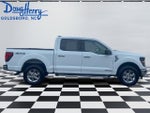 2024 F-150 Thumbnail 6