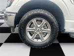 2024 F-150 Thumbnail 14