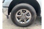 2024 F-150 Thumbnail 11