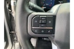 2024 F-150 Thumbnail 15