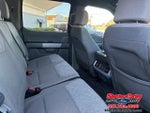 2024 F-150 Thumbnail 6