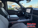 2024 F-150 Thumbnail 7