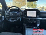 2024 F-150 Thumbnail 8