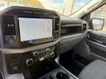 2024 F-150 Thumbnail 12