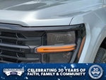 2024 F-150 Thumbnail 10