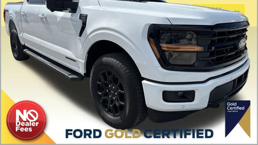 Preowned 2024 Ford F-150 XLT for Sale