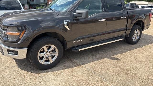 Preowned 2024 Ford F-150 XLT for Sale