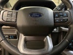 2024 F-150 Thumbnail 10