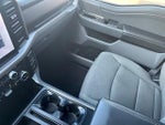 2024 F-150 Thumbnail 14