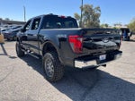 2024 F-150 Thumbnail 6