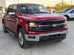 2024 F-150 Thumbnail 15
