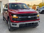 2024 F-150 Thumbnail 16