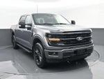 2024 F-150 Thumbnail 3