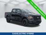 2024 F-150 Thumbnail 2