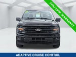 2024 F-150 Thumbnail 8