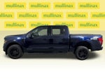 2025 F-150 Thumbnail 12