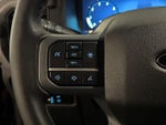 2025 F-150 Thumbnail 21