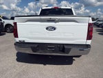 2025 F-150 Thumbnail 6