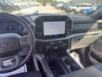 2025 F-150 Thumbnail 13