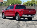 2025 F-150 Thumbnail 5