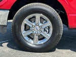 2025 F-150 Thumbnail 24