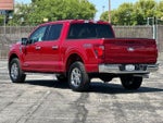 2025 F-150 Thumbnail 5