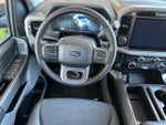 2025 F-150 Thumbnail 13