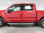 2025 F-150 Thumbnail 4
