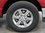 2025 F-150 Thumbnail 10