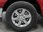 2025 F-150 Thumbnail 17
