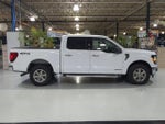2025 F-150 Thumbnail 8