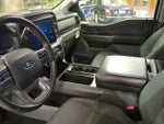 2025 F-150 Thumbnail 18