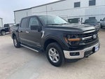 2025 F-150 Thumbnail 4