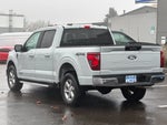 2024 F-150 Thumbnail 4