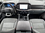 2024 F-150 Thumbnail 13