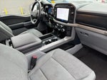 2024 F-150 Thumbnail 15