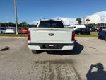 2024 F-150 Thumbnail 6