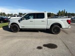 2024 F-150 Thumbnail 8