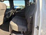 2024 F-150 Thumbnail 10