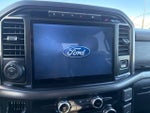 2024 F-150 Thumbnail 12