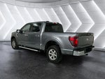 2024 F-150 Thumbnail 5