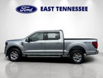 2024 F-150 Thumbnail 6