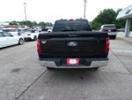 2024 F-150 Thumbnail 6