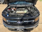 2024 F-150 Thumbnail 18