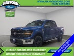 2024 F-150 Thumbnail 1