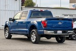 2024 F-150 Thumbnail 6