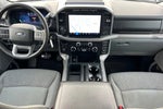 2024 F-150 Thumbnail 14