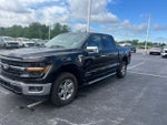2024 F-150 Thumbnail 2